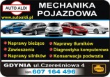 Auto-Aldi Mechanika Pojazdowa Gdynia Cisowa